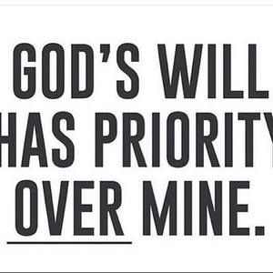 Meet your Posher, Sammie